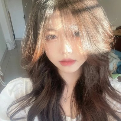 网中的太阳